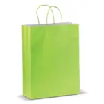 Draagtas papier groot 120g/m², lichtgroen