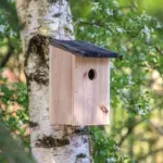Vogelhuisje Rustiek productfoto 6 - Hidalgo-werbeartikel Vogelhuisje Rustiek — productfoto 6