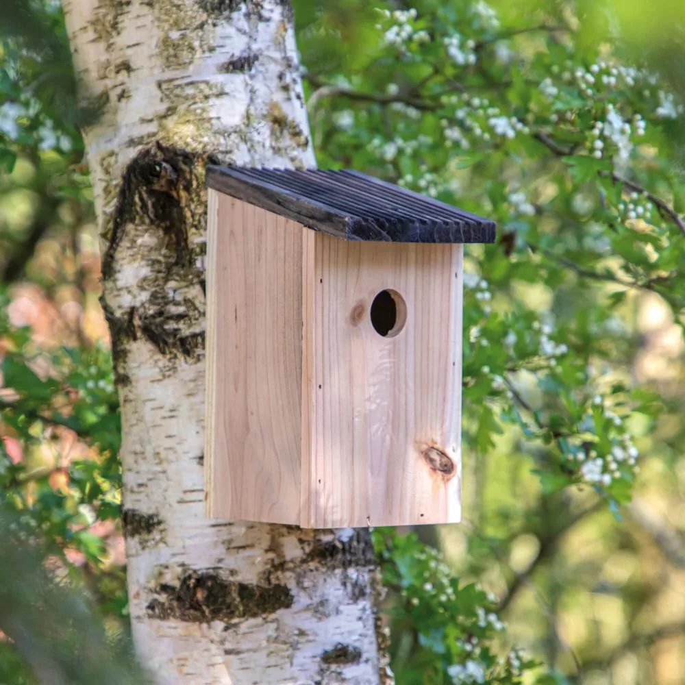 Vogelhuisje Rustiek productfoto 6 - Hidalgo-werbeartikel Vogelhuisje Rustiek — productfoto 6
