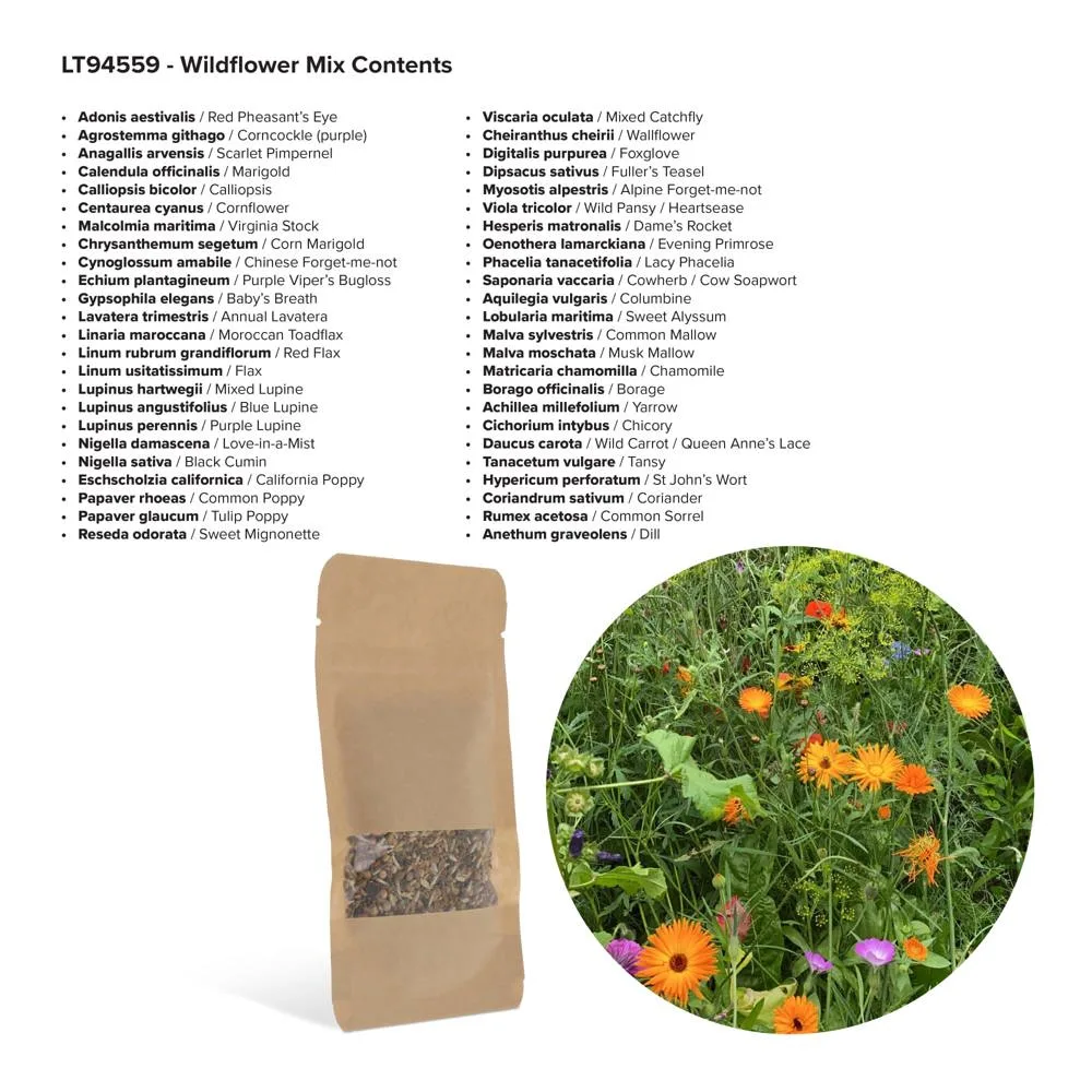 Bloemenzaad wilde bloemen 4 gram productfoto 5 - Hidalgo-werbeartikel Bloemenzaad wilde bloemen 4 gram — productfoto 5