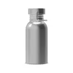 Waterfles Skyler 500ml, zilver