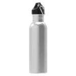 Waterfles Lennox 750ml, zilver
