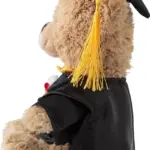 Knuffel Magnus | Afstudeerbeer — productfoto 3