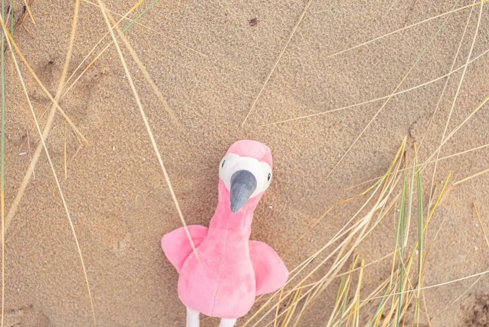 Pluchen flamingo Alicia | 18 cm productfoto 8 - Hidalgo-werbeartikel Pluchen flamingo Alicia | 18 cm — productfoto 8