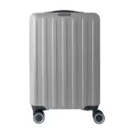 Trolleykoffer Alaric | 20 inch | 30 l, grijs