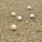 Jeu-de-boulesset Quillian | Hout — productfoto 10