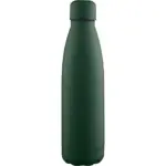 Gerecyclede dubbelwandige drinkfles 500 ml Sunny, groen
