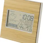 Weerstation Lia | Bamboe