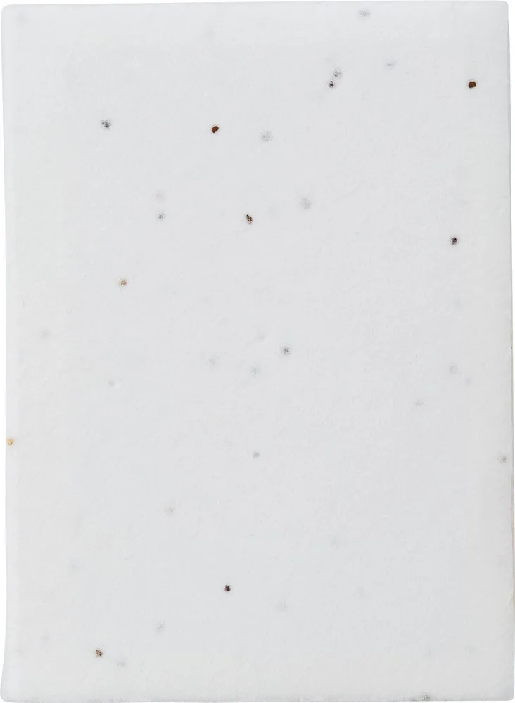 Notitieblaadjes Patricia | Zaadpapier | 6 stuks productfoto 2 - Hidalgo Notitieblaadjes Patricia | Zaadpapier | 6 stuks — productfoto 2