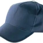 Pet Beau, blauw