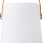 Draadloze speaker | LED RGB | 4000 mAh — productfoto 2