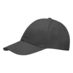 Heavy brushed cap, donkergrijs (pms cool grey 11c) / donkergrijs