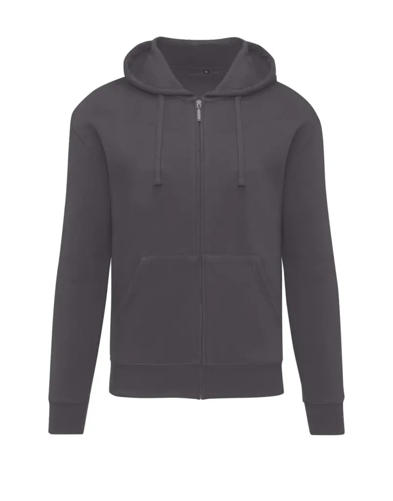 215_52_121_f-2024_01jpg - Hidalgo-werbeartikel 21552 - Originals Hooded Full Zip Men, grey — productfoto 2