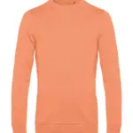 224_42_440_f-2020_01jpg - Hidalgo-werbeartikel 22442 - #Set In French Terry, melon orange — productfoto 24