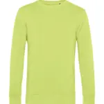 228_42_519_f-2020_01jpg - Hidalgo-werbeartikel 22842 - Inspire Crew Neck, lime — productfoto 17