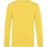 228_42_611_f-2020_01jpg - Hidalgo-werbeartikel 22842 - Inspire Crew Neck, yellow fizz — productfoto 20