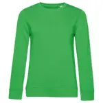 22942 - Crew Neck /women French Terry, apple green — productfoto 16