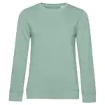 22942 - Crew Neck /women French Terry, sage — productfoto 18
