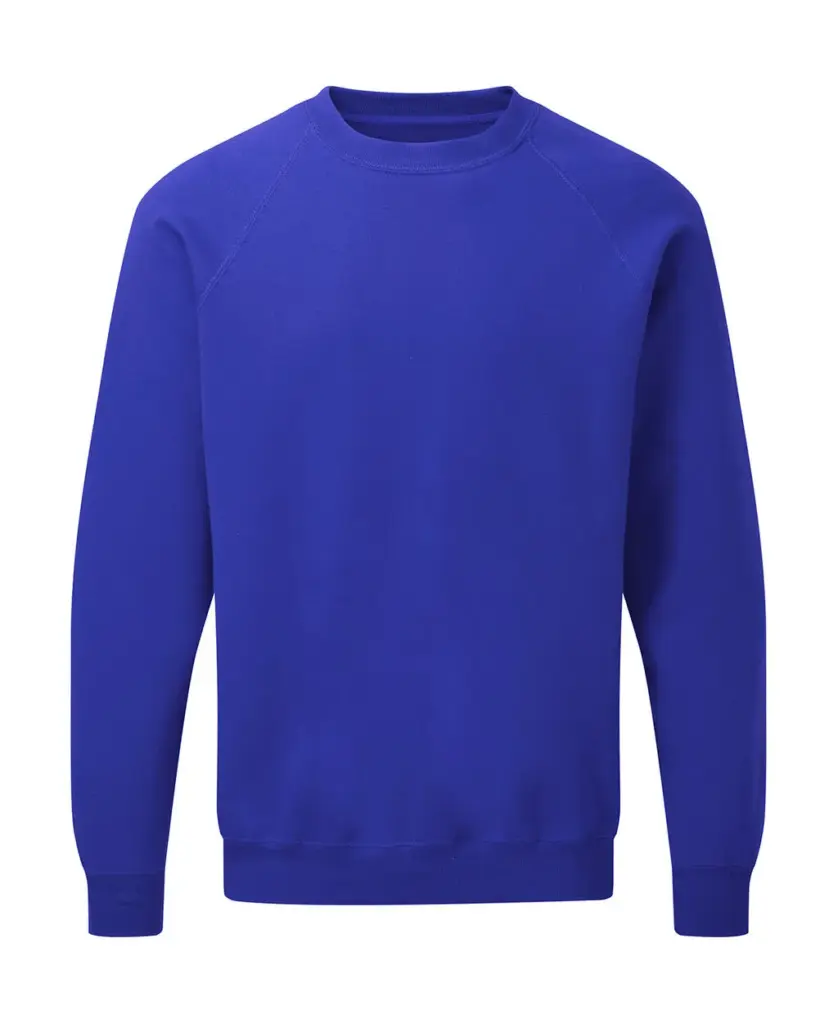 237_52_300_f_2019_02jpg - Hidalgo-werbeartikel 23752 - Raglan Sweatshirt Men, royal blue — productfoto 3