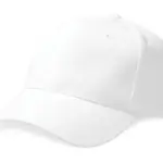 31269 - Pro-Style Heavy Brushed Cotton Cap, white