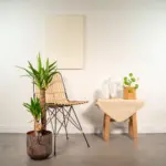 Yucca kamerplant inclusief sierpot