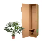 Philodendron Green Wonder – kamerplant