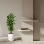 Dracaena Janet Lind vertakt – kamerplant