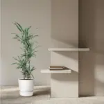 Dracaena Warneckei kamerplant – gestreepte drakenplant