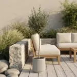 Olea Europaea op stam – olijfboom buitenplant