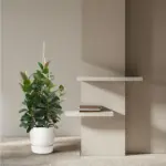 Ficus Robusta vertakt – kamerplant met meerdere stammen