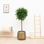 Indigo Vintage Gold sierpot – eigentijdse bloempot