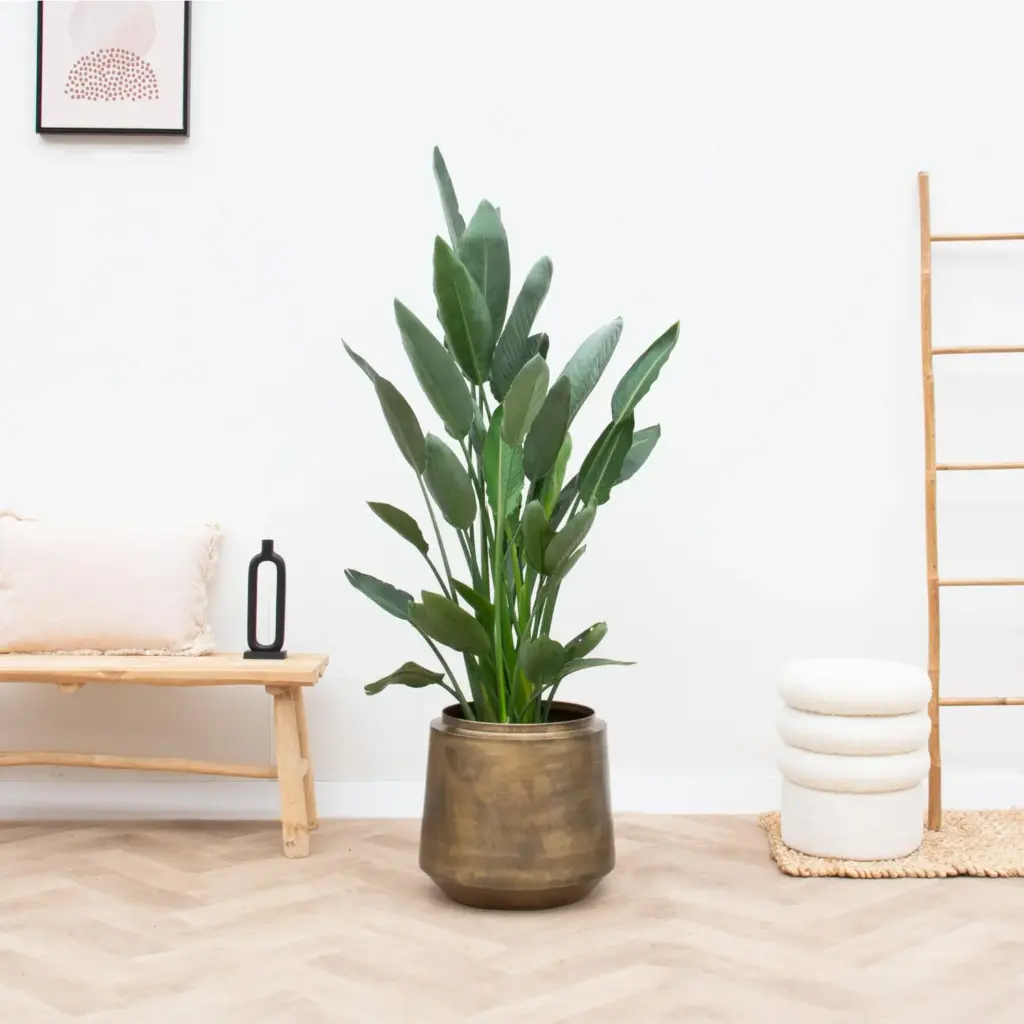 Indigo Vintage Gold sierpot – eigentijdse bloempot