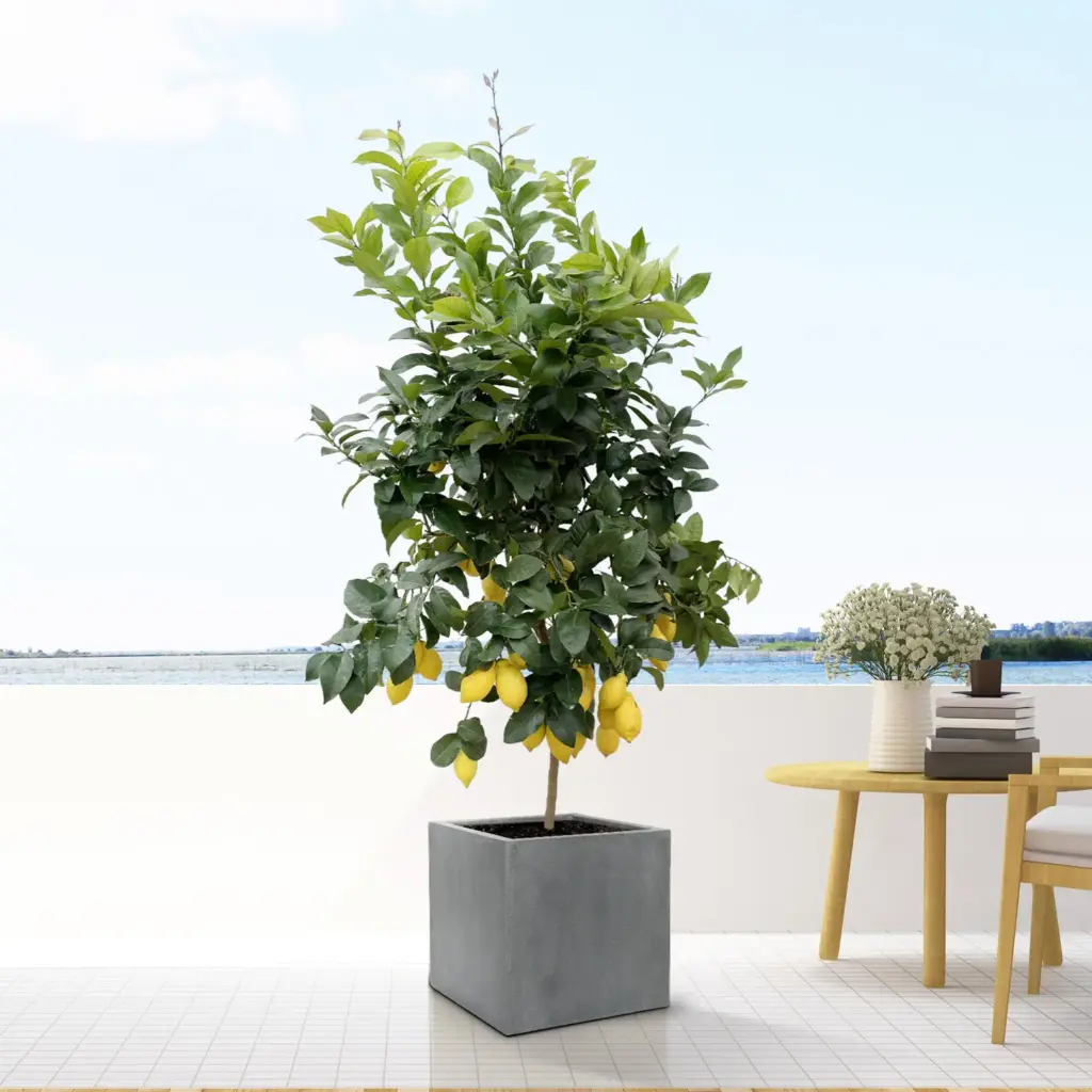 Block Grey sierpot – betonlook plantenbak