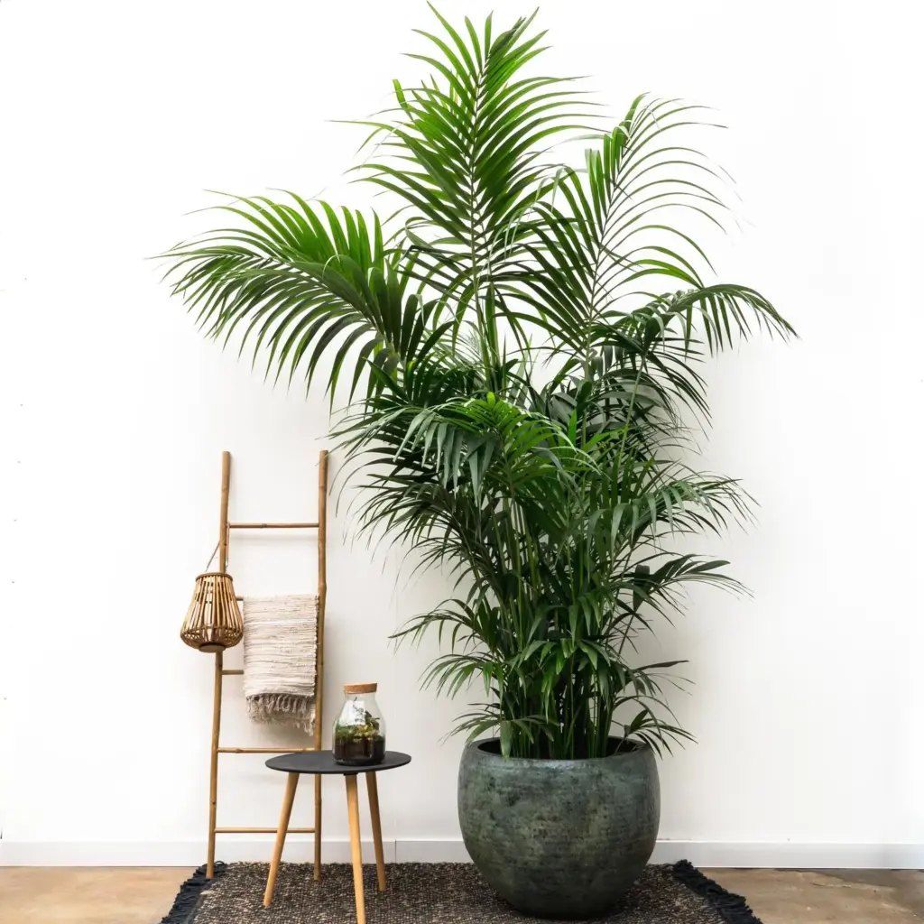 Pot Fabien Mystic Green grote sierpot in groen