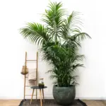 Pot Fabien Mystic Green grote sierpot in groen