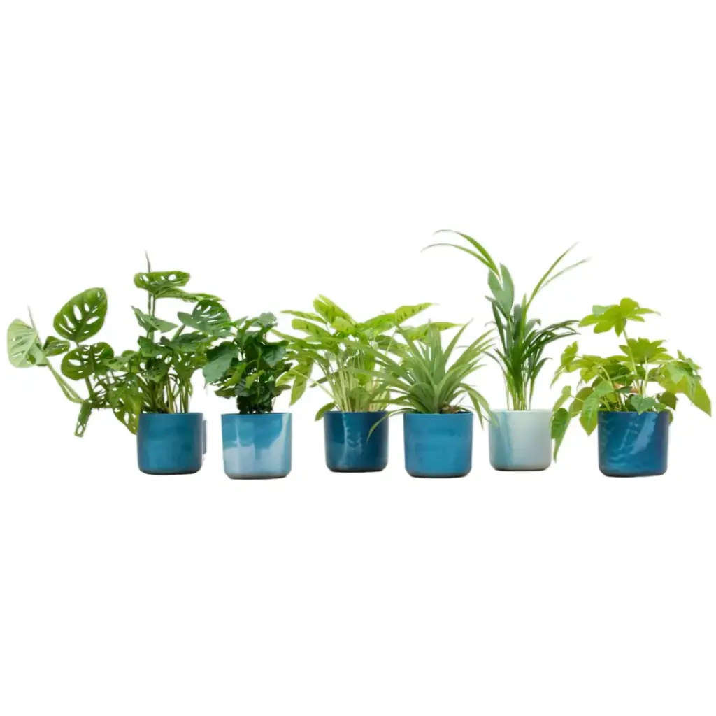 Verrassingsbox 6 planten met elho Ocean Round atlantisch blauw
