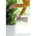 Plunge gieter wit – 1,7 liter plantgieter