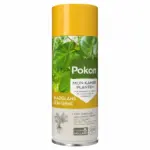 Pokon Bladglans – bladpoets voor kamerplanten