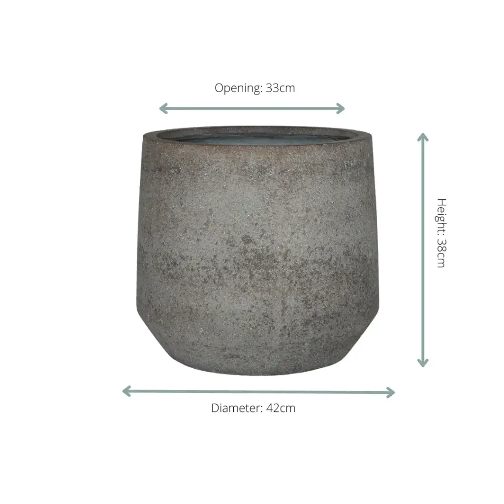 Harith sierpot dioriet grey