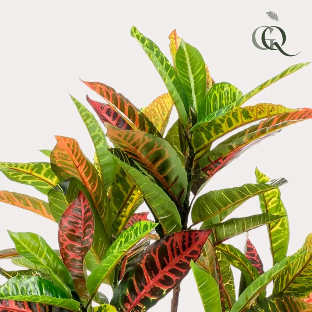 Codiaeum variegatum kroton kunstplant in pot — productfoto 2
