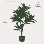 Codiaeum variegatum kroton kunstplant in pot — productfoto 3