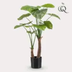 Alocasia kunstplant – olifantsoor kamerplant
