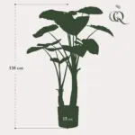 Alocasia kunstplant – olifantsoor kamerplant — productfoto 3