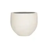 Jumbo Orb Ivory Washed sierpot rond - Hidalgo Plants Jumbo Orb Ivory Washed sierpot rond