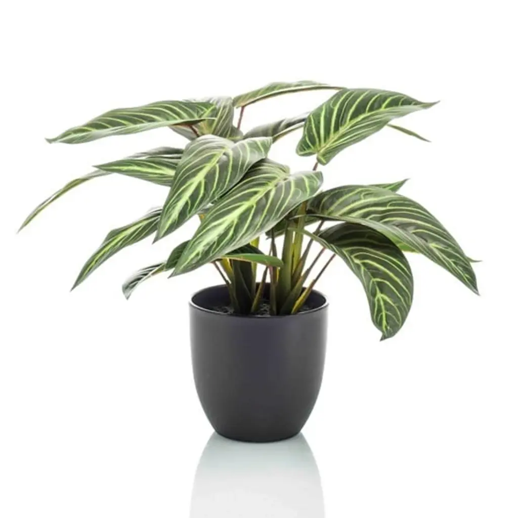 Calathea Zebrina kunstplant in zwarte pot