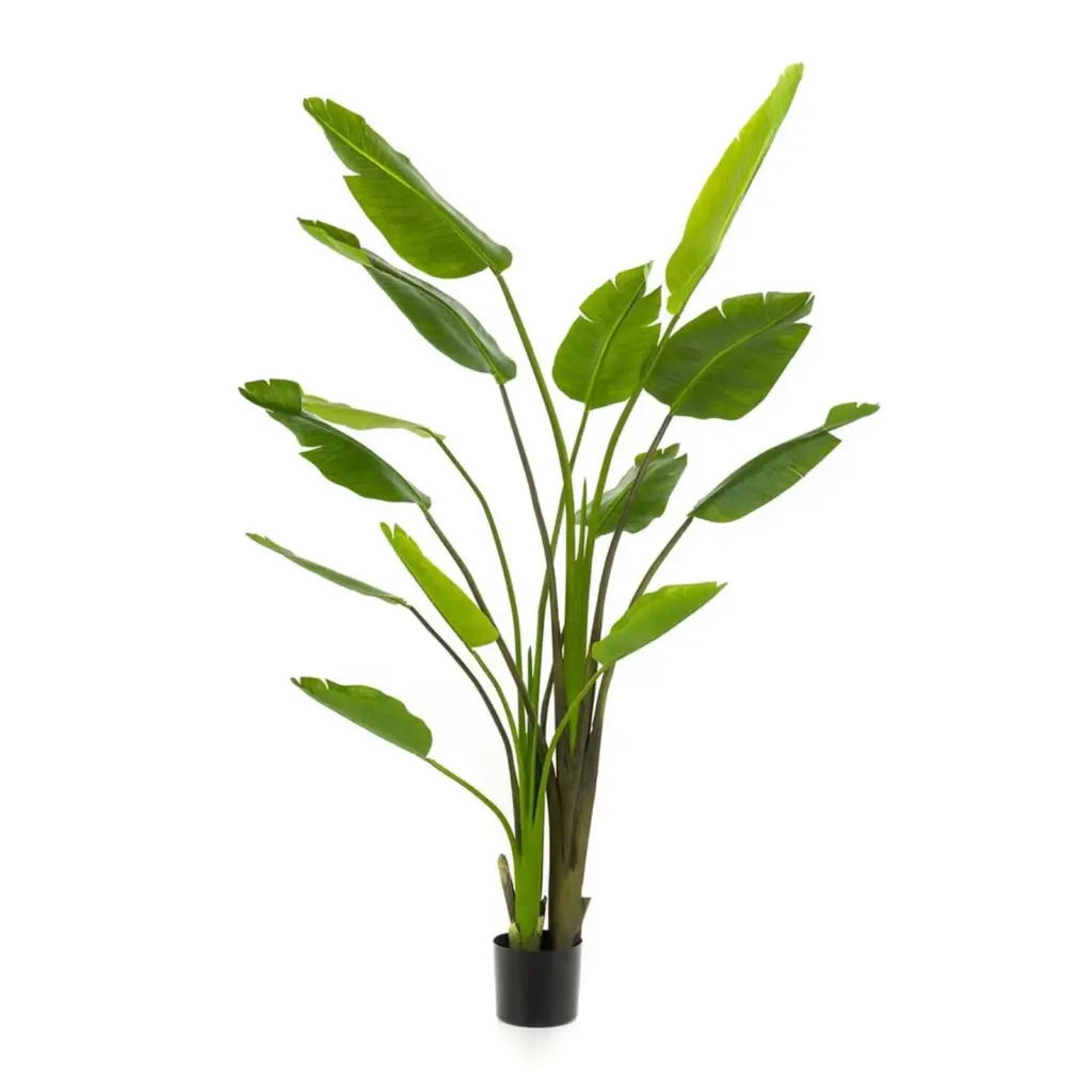 Strelitzia Nicolai kunstplant in zwarte pot
