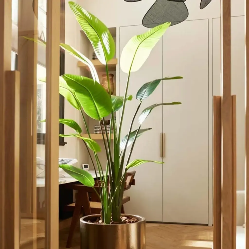 Strelitzia Nicolai kunstplant in zwarte pot — productfoto 3
