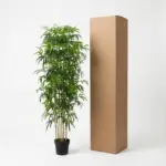 Bamboe kunstboom voor binnen en buiten