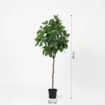 Magnolia kunstplant voor kamer of woonkamer