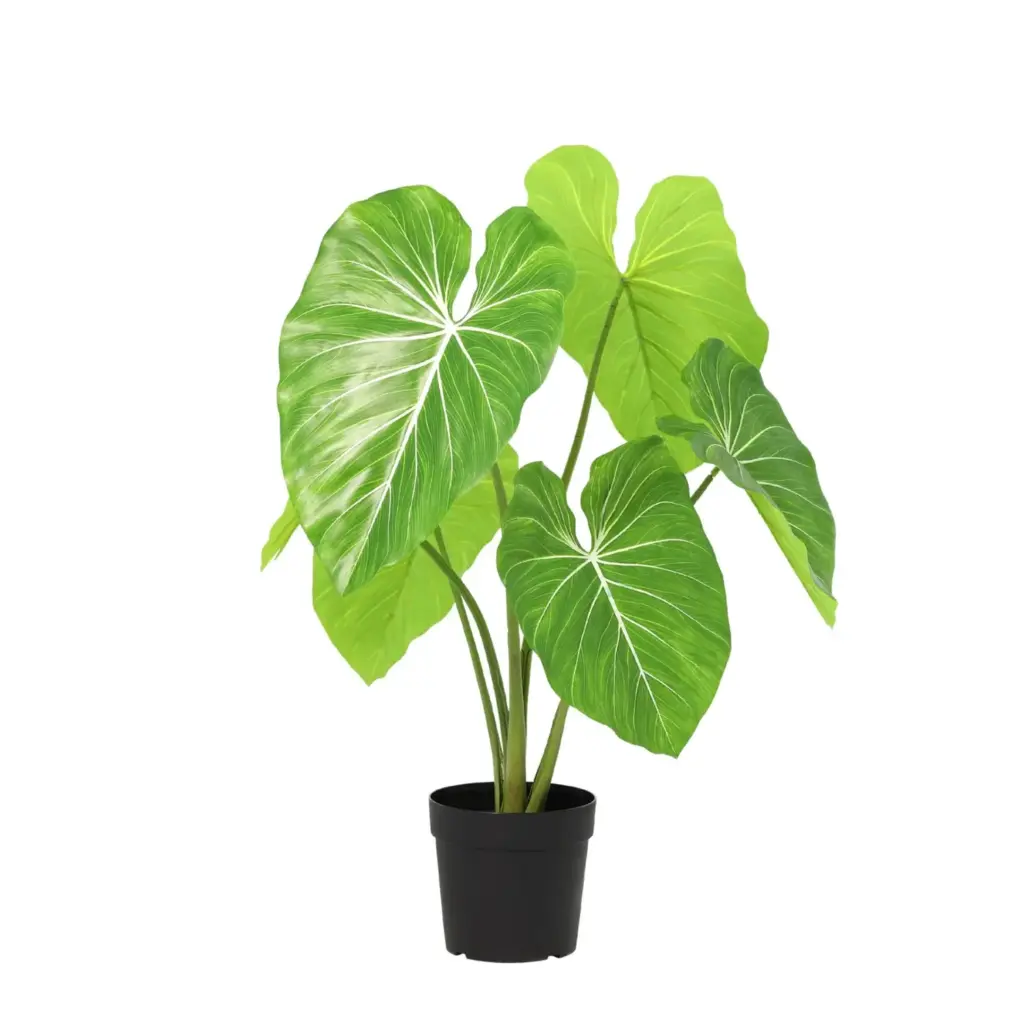 Philodendron kunstkamerplant grote bladeren